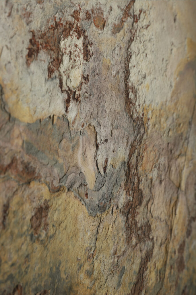 Fornir kamienny Daft stone realne zdjęcie produktu