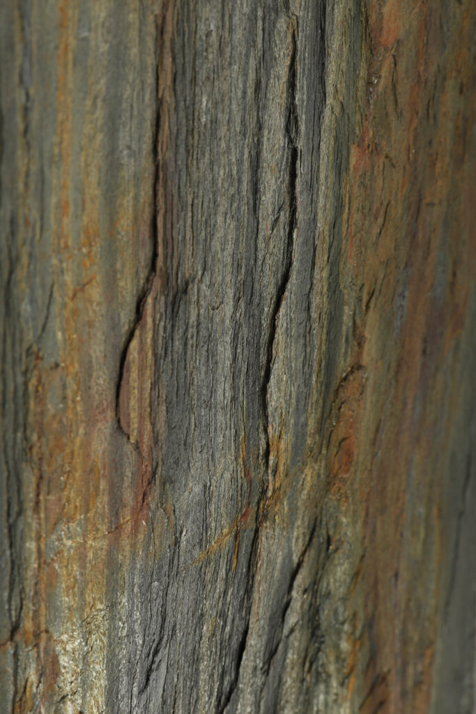 Fornir kamienny Tree Stone zdjęcie produktu