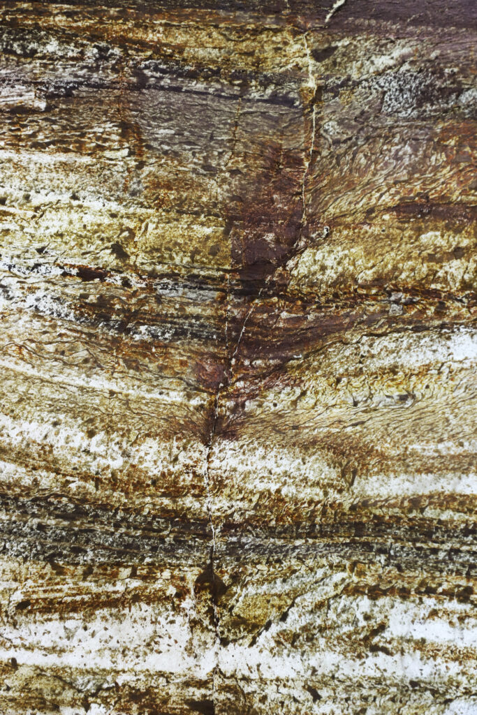 Fornir kamienny tree stone do podświetlenia zdjęcie produkotwe