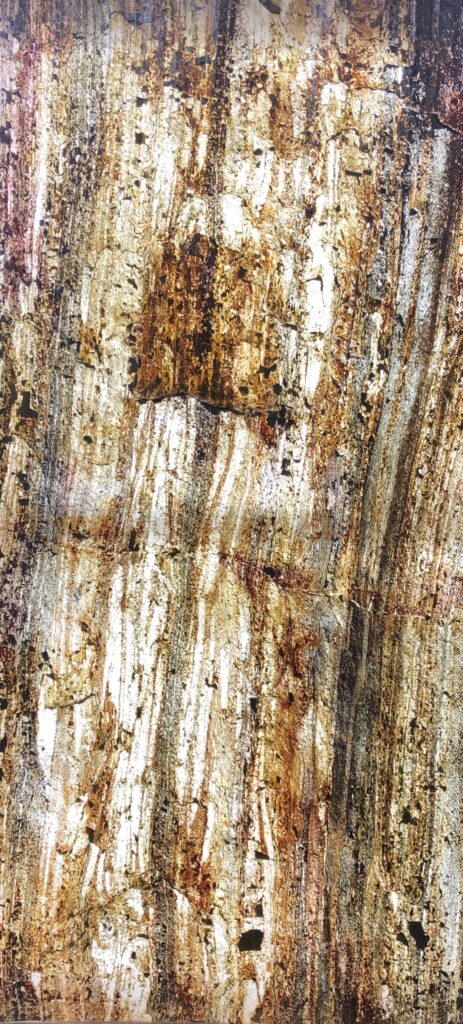 Fornir kamienny tree stone do podświetlenia zdjęcie produkotwe