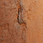 Zdjęcie produktowe forniru kamiennego RUST STONE